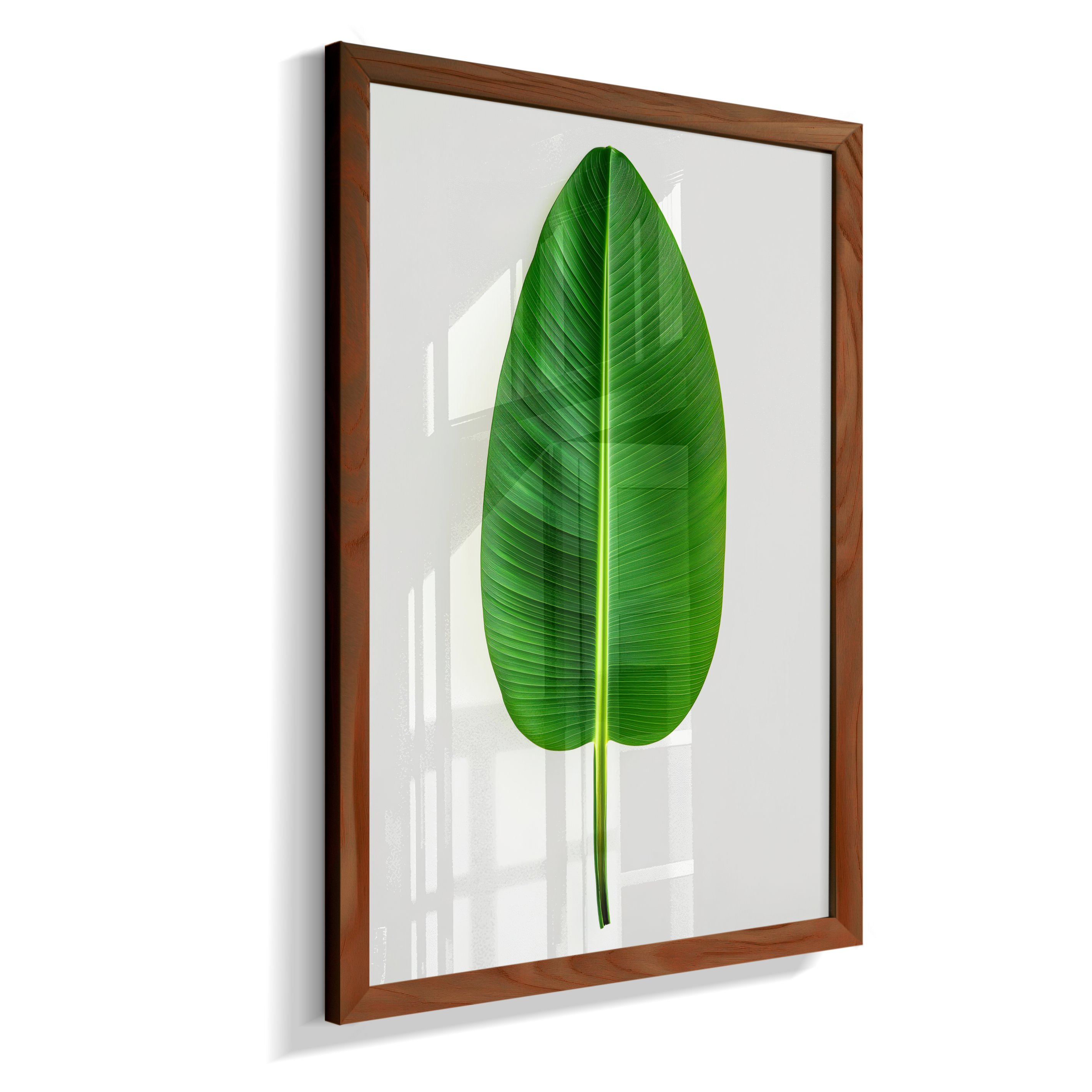 Bananeira 1