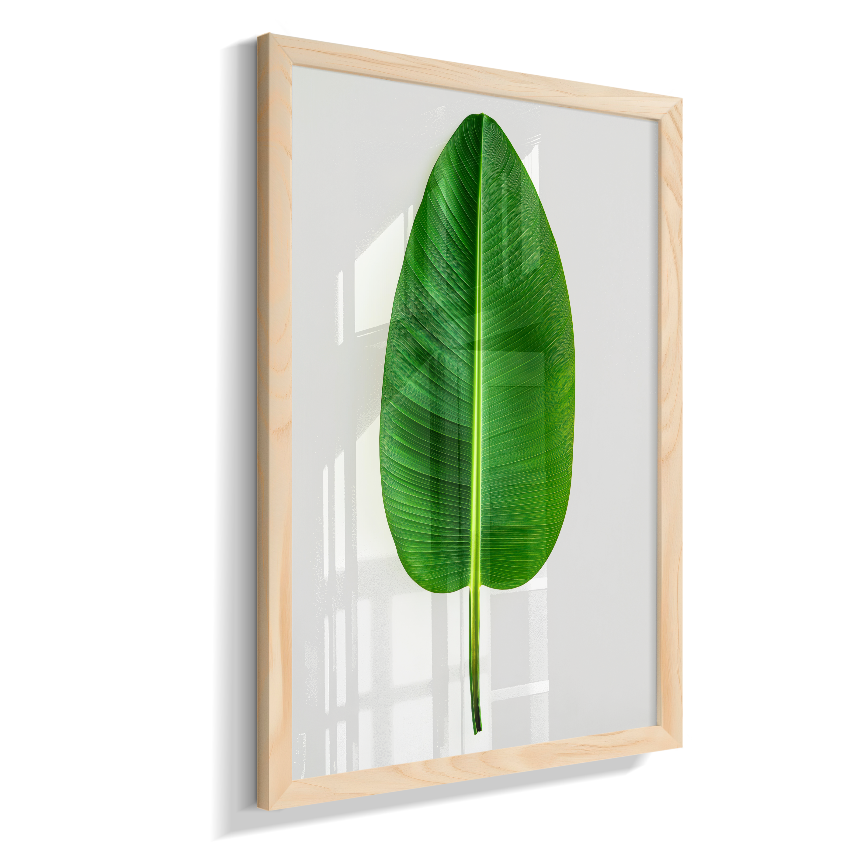 Bananeira 1