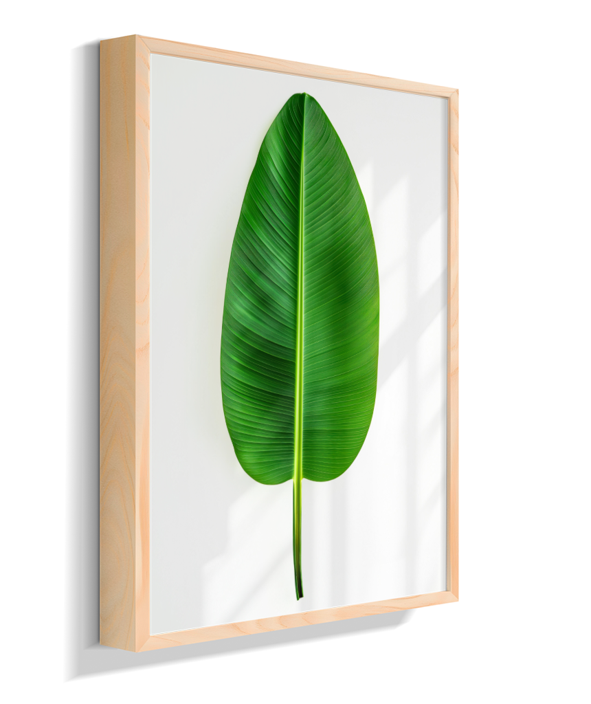Bananeira 1