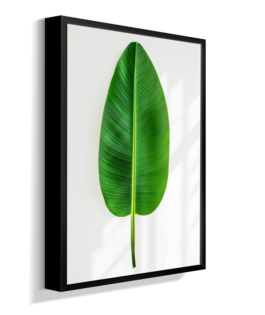 Bananeira 1