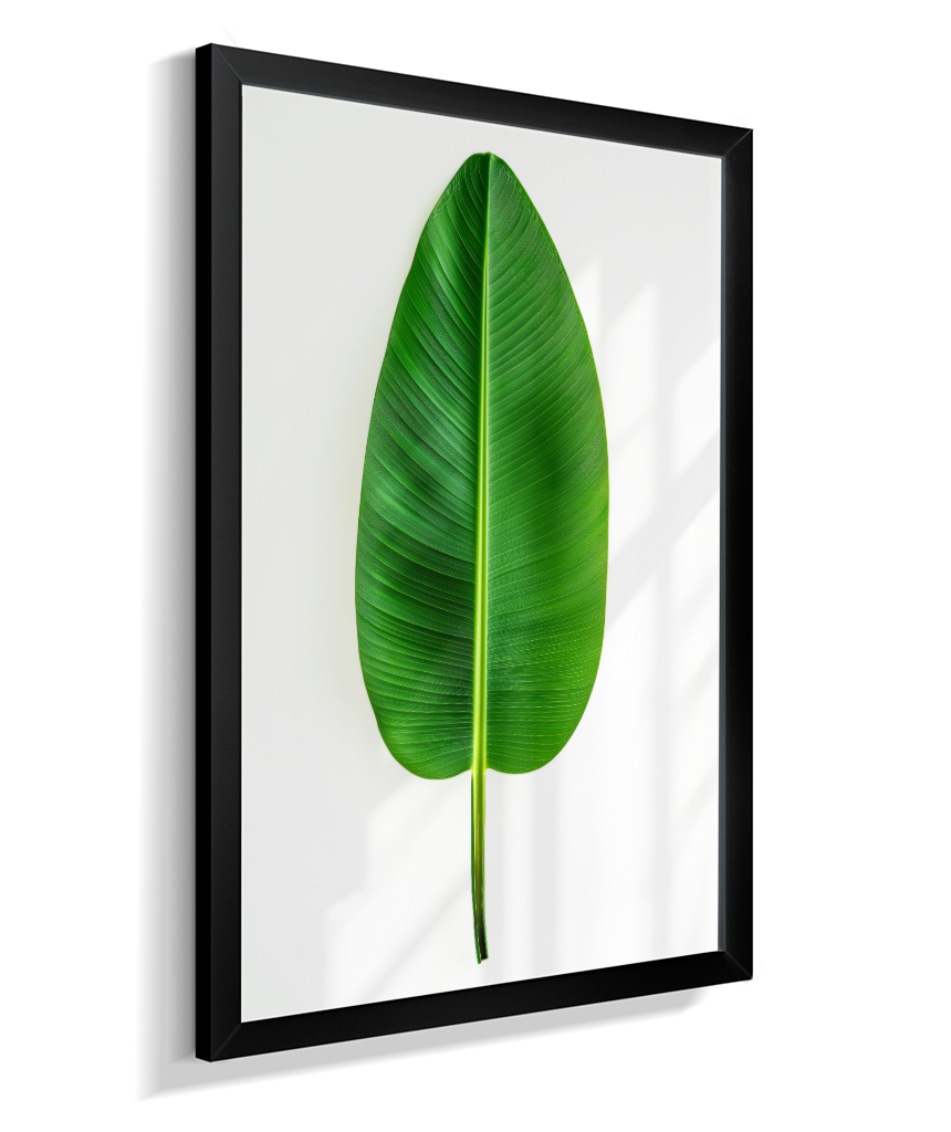 Bananeira 1