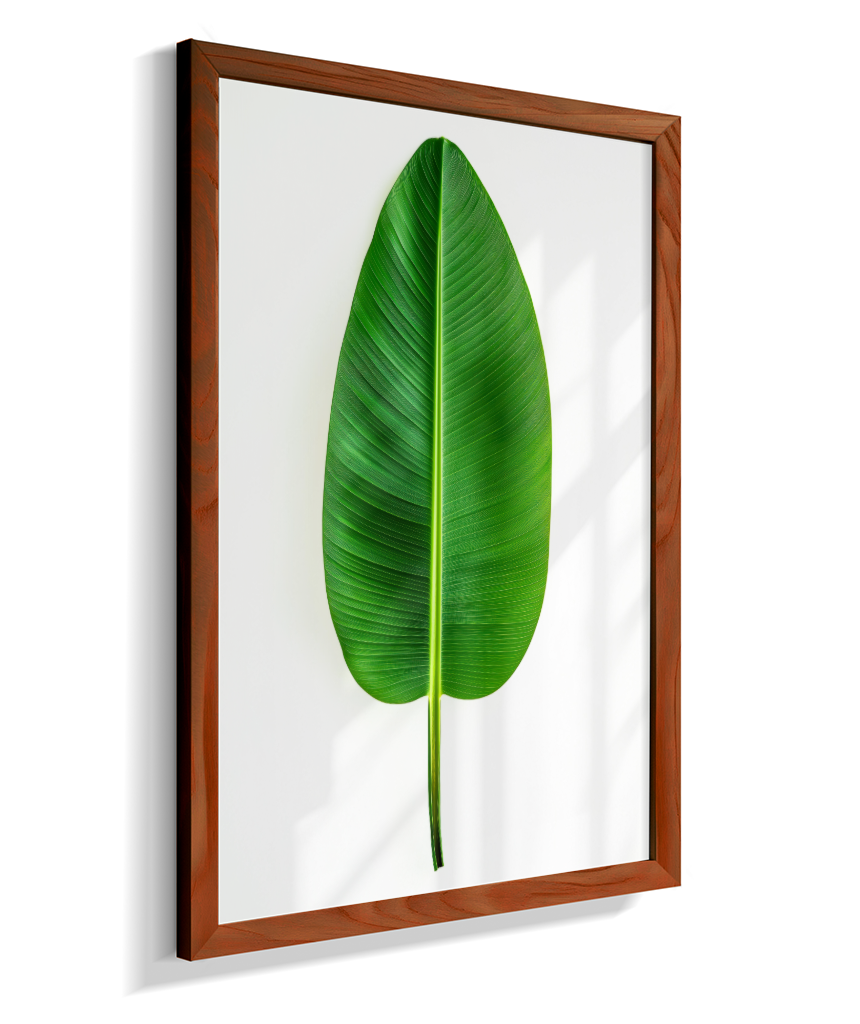 Bananeira 1