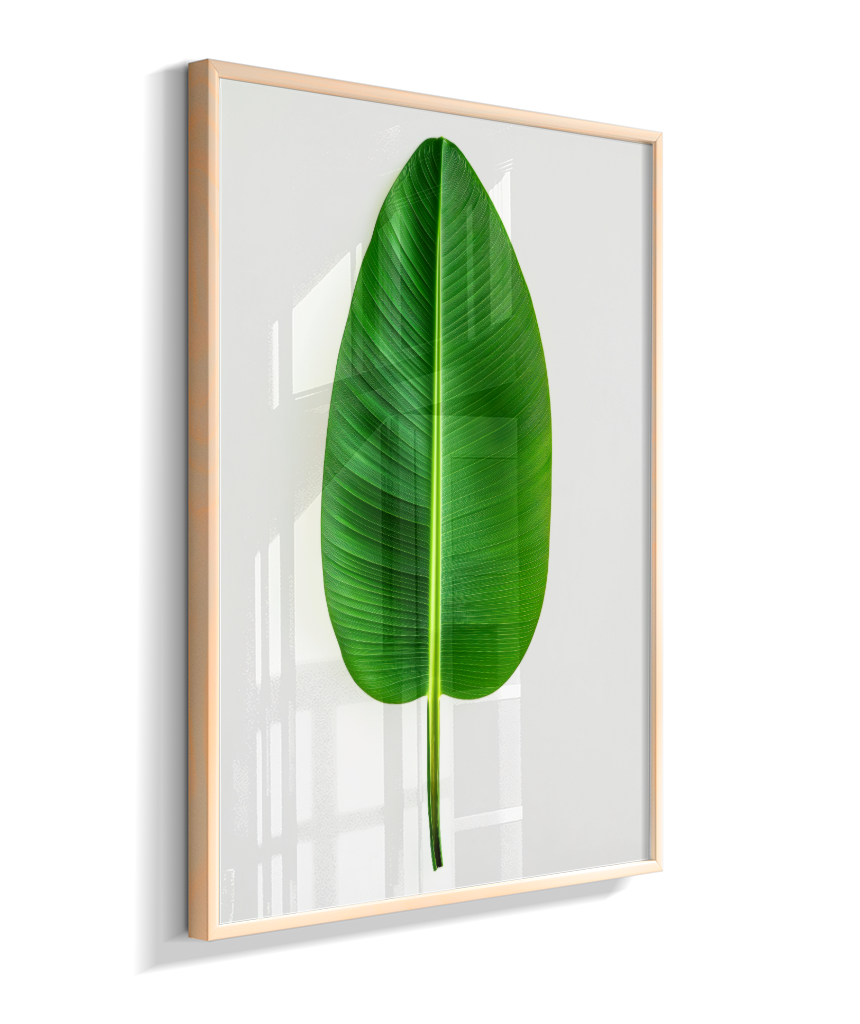 Bananeira 1