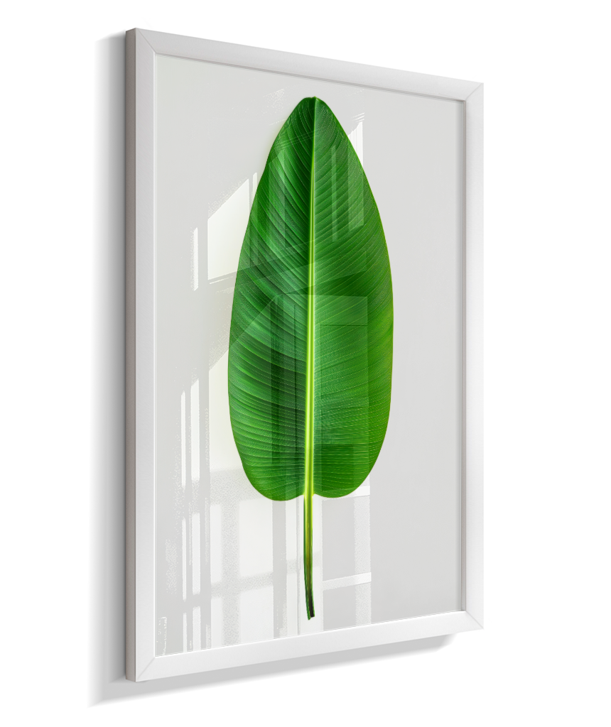 Bananeira 1