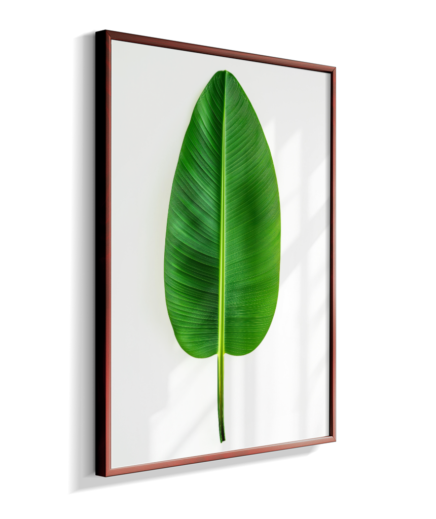Bananeira 1