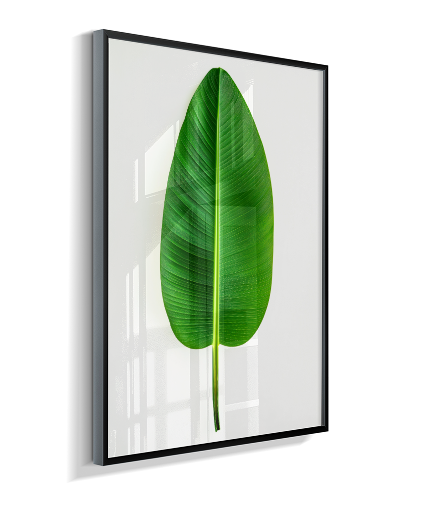 Bananeira 1