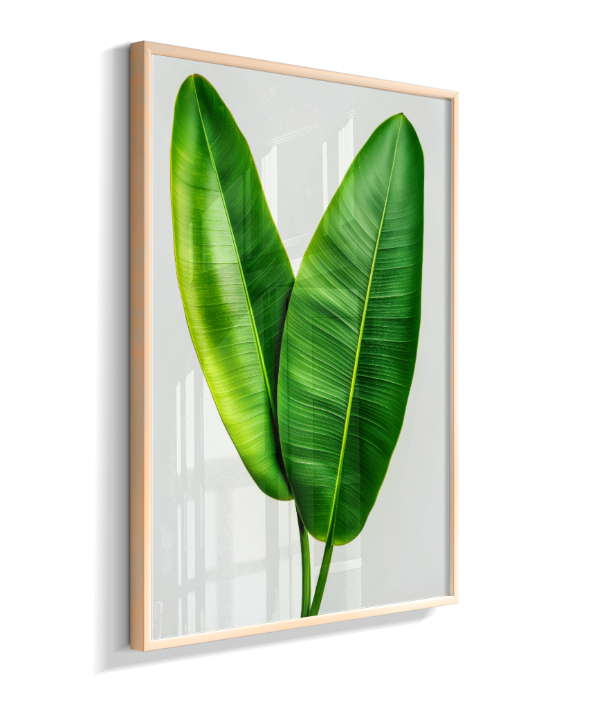 Bananeira 3