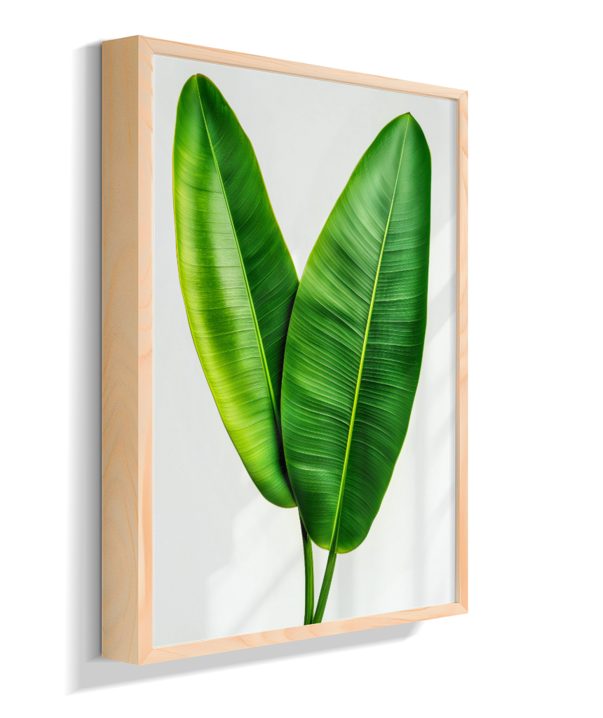 Bananeira 3