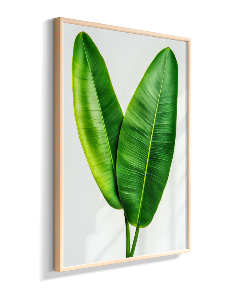 Bananeira 3