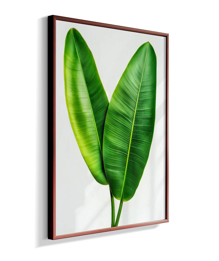 Bananeira 3