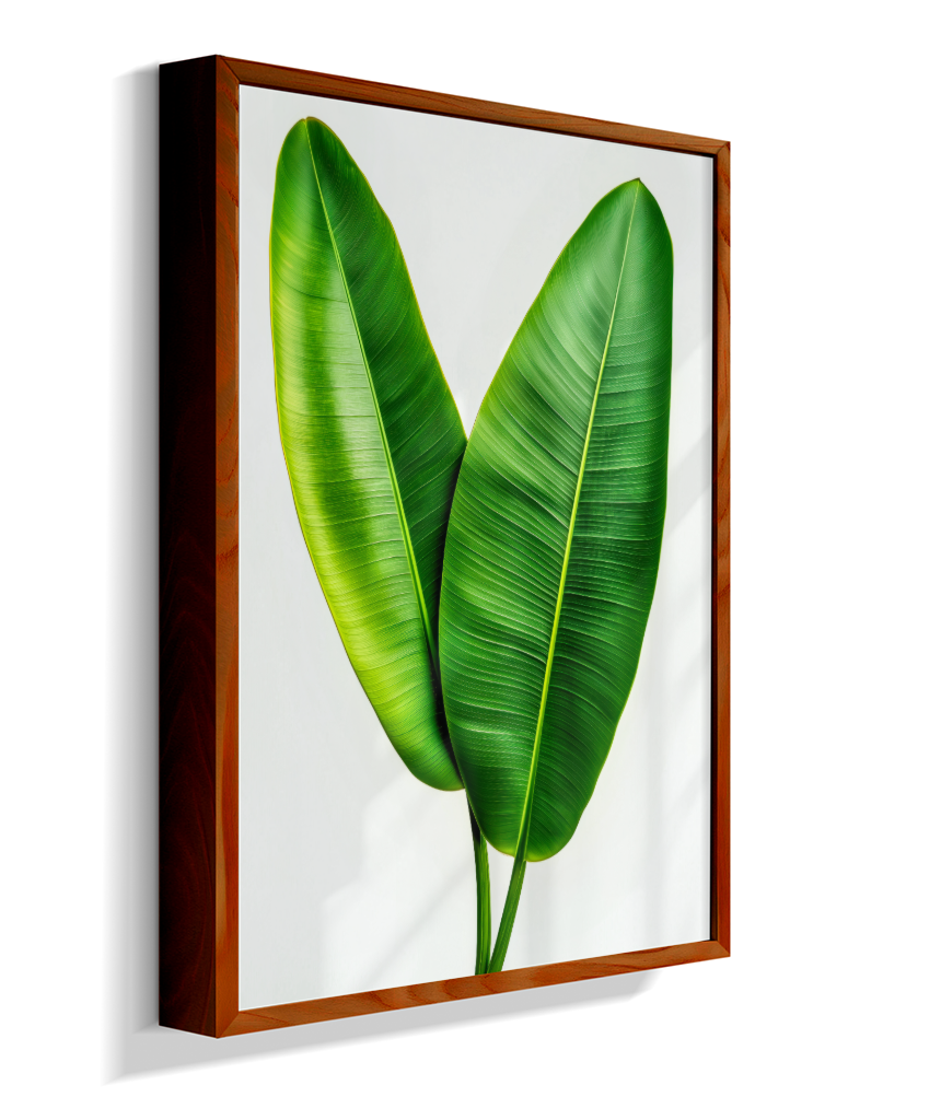 Bananeira 3