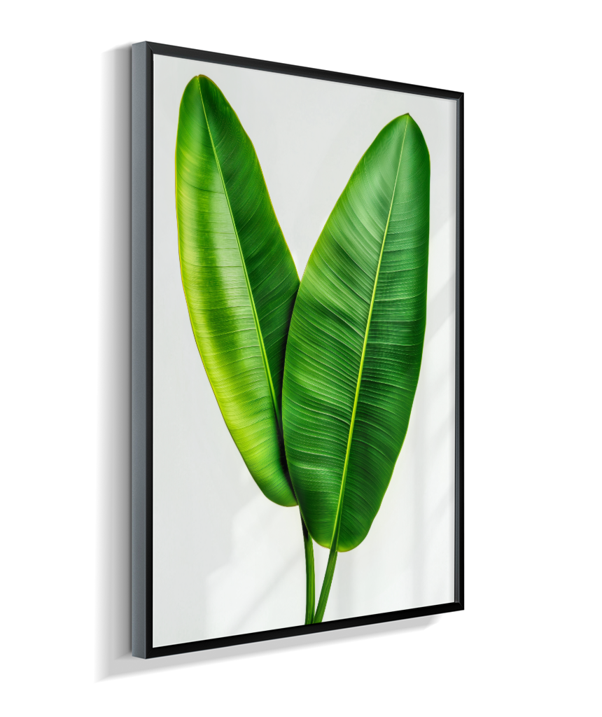Bananeira 3