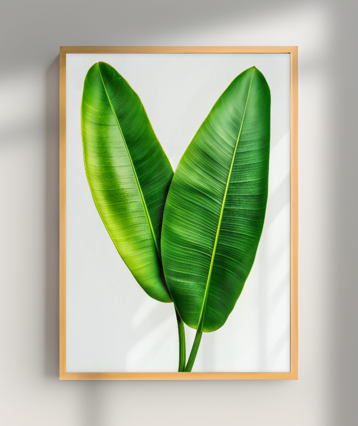 Bananeira 3