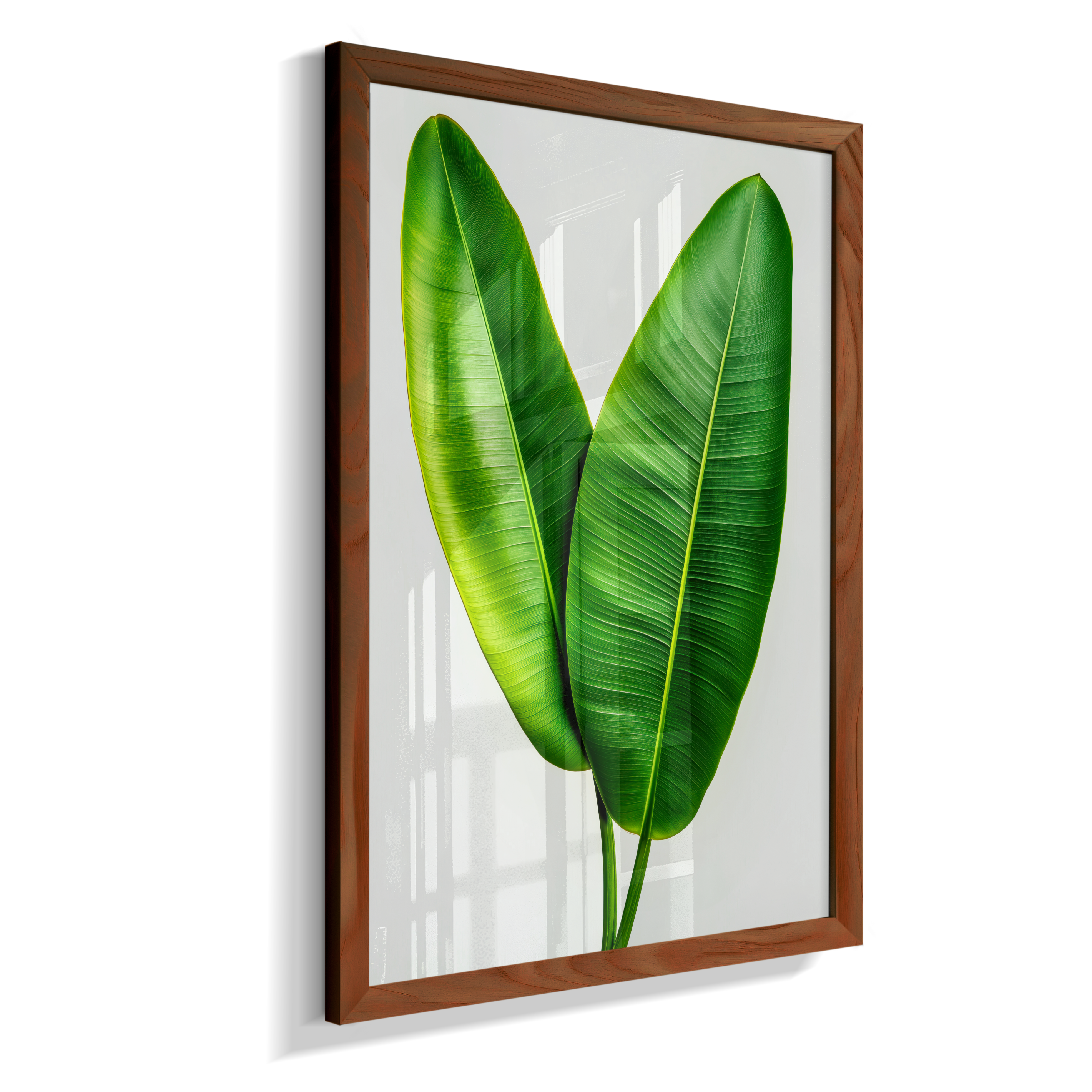 Bananeira 3