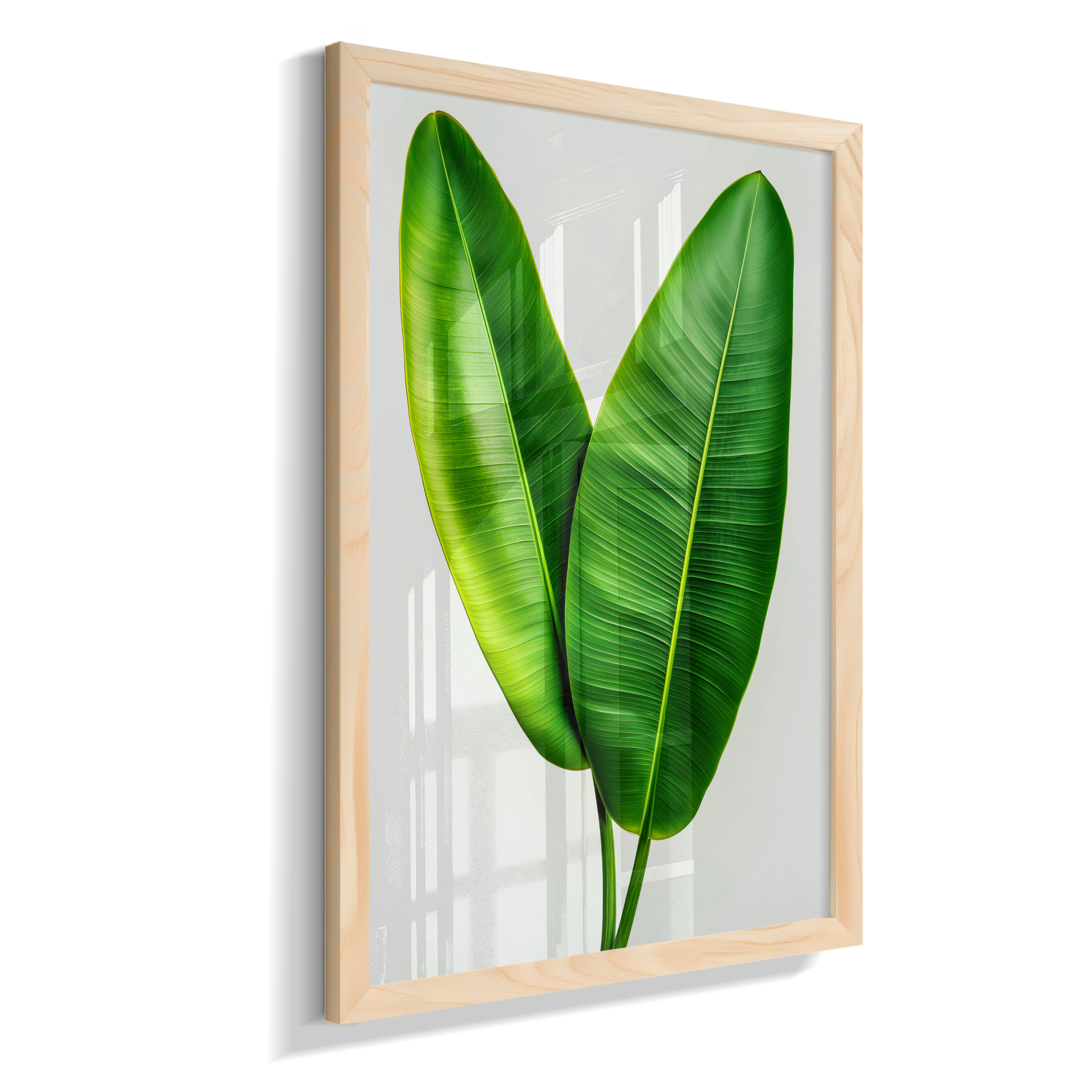 Bananeira 3