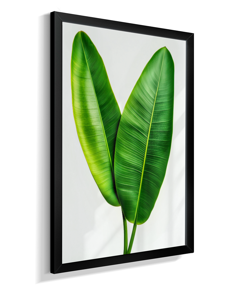 Bananeira 3