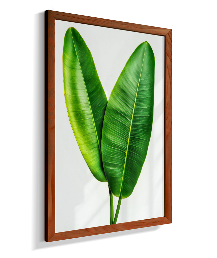 Bananeira 3