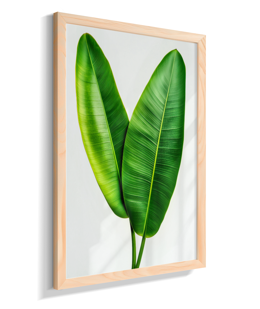 Bananeira 3