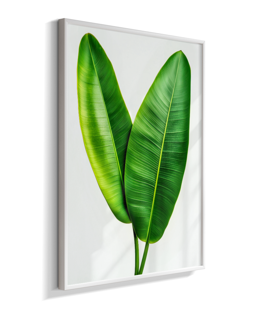 Bananeira 3