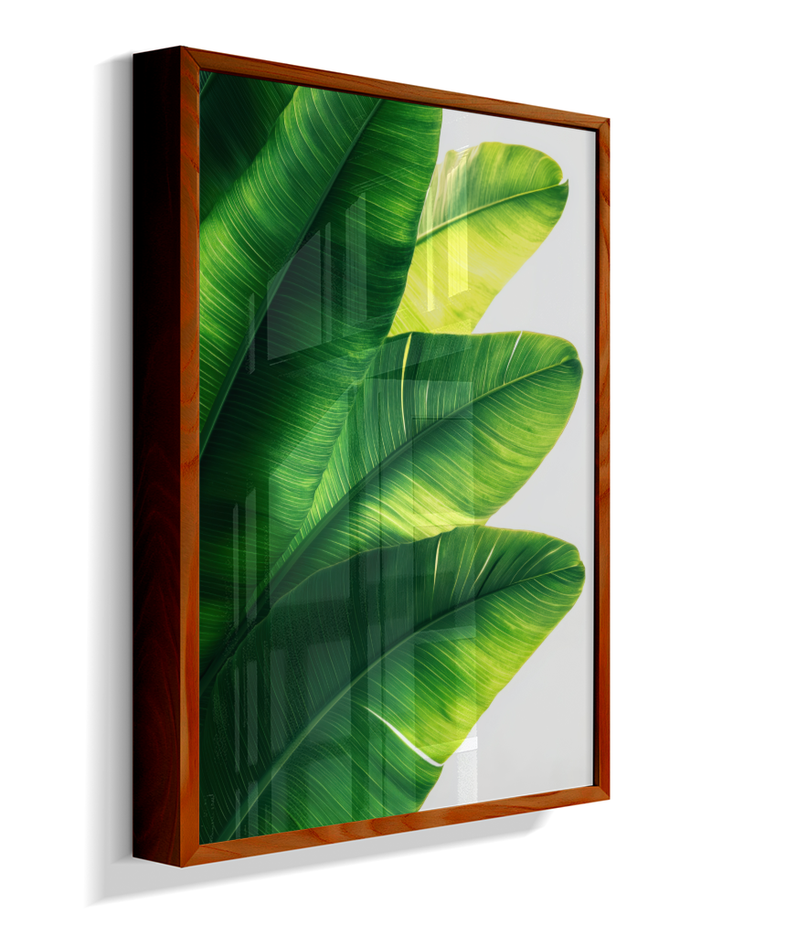 Bananeira 5
