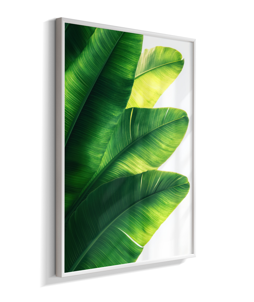 Bananeira 5