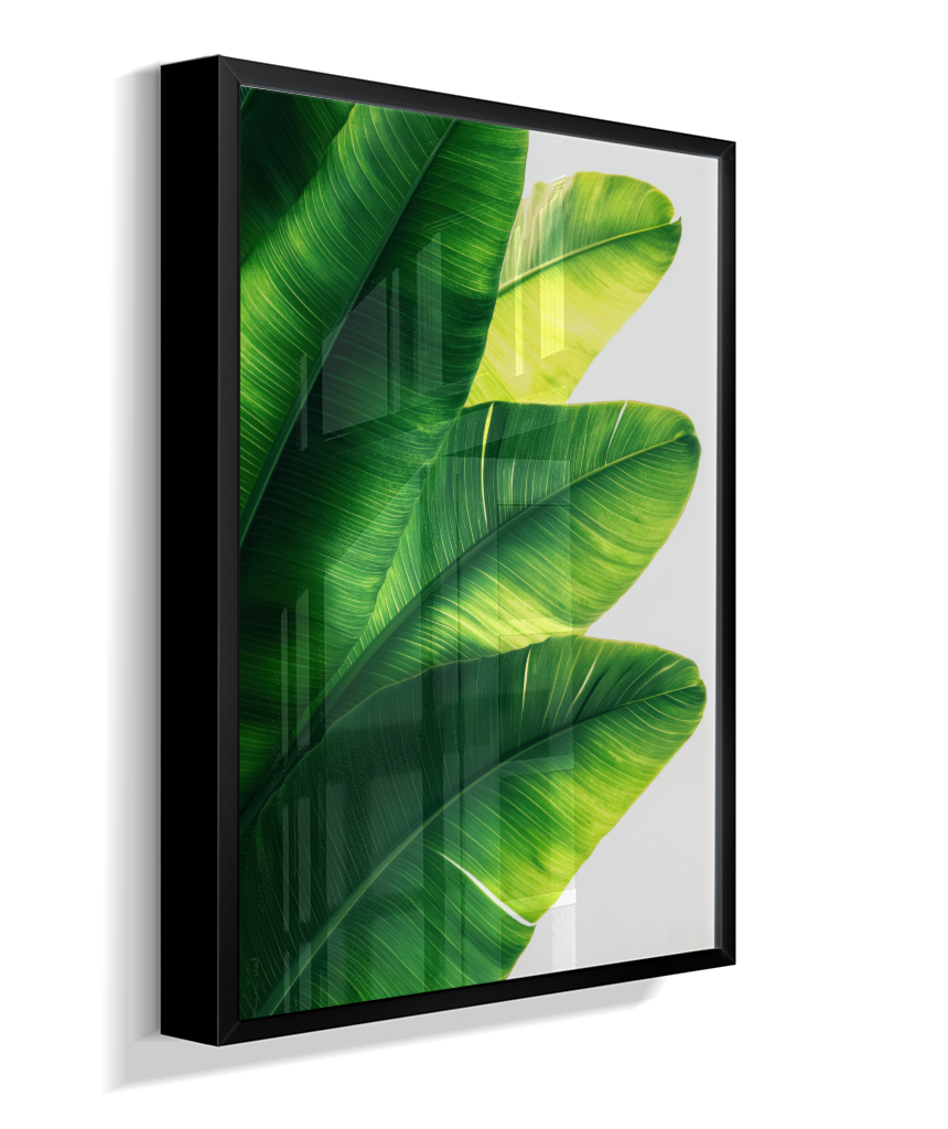 Bananeira 5