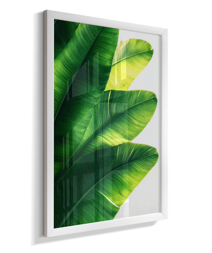 Bananeira 5