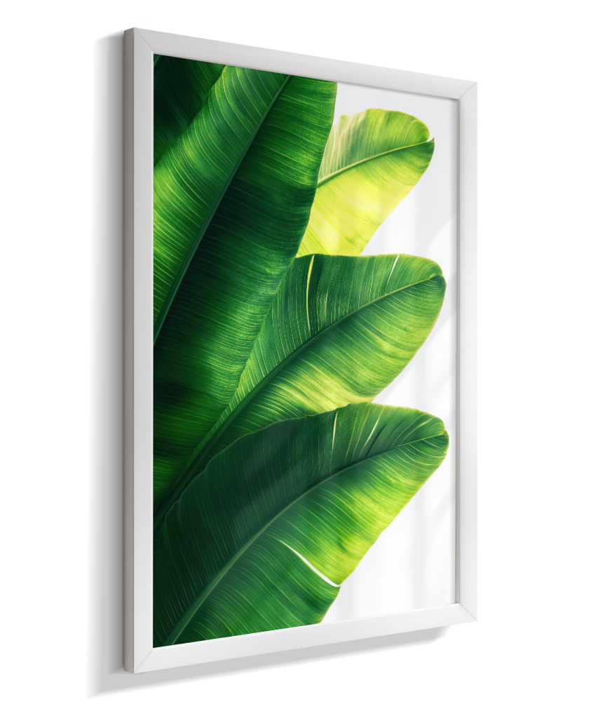 Bananeira 5