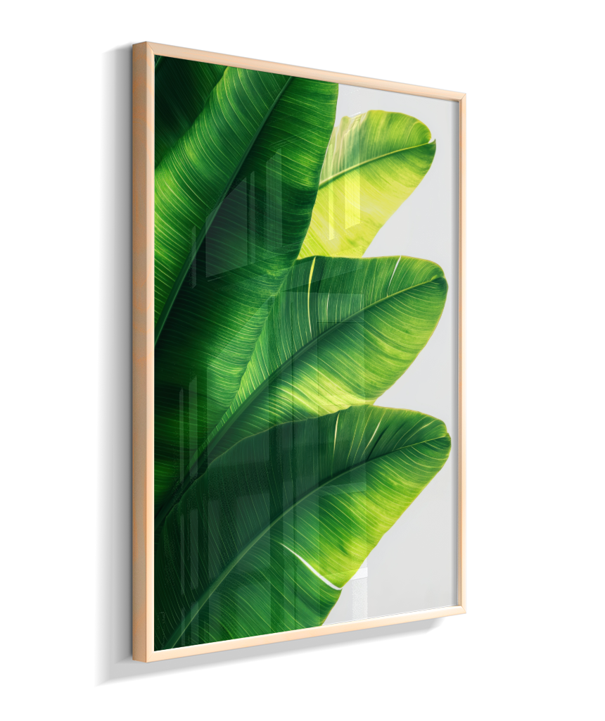 Bananeira 5