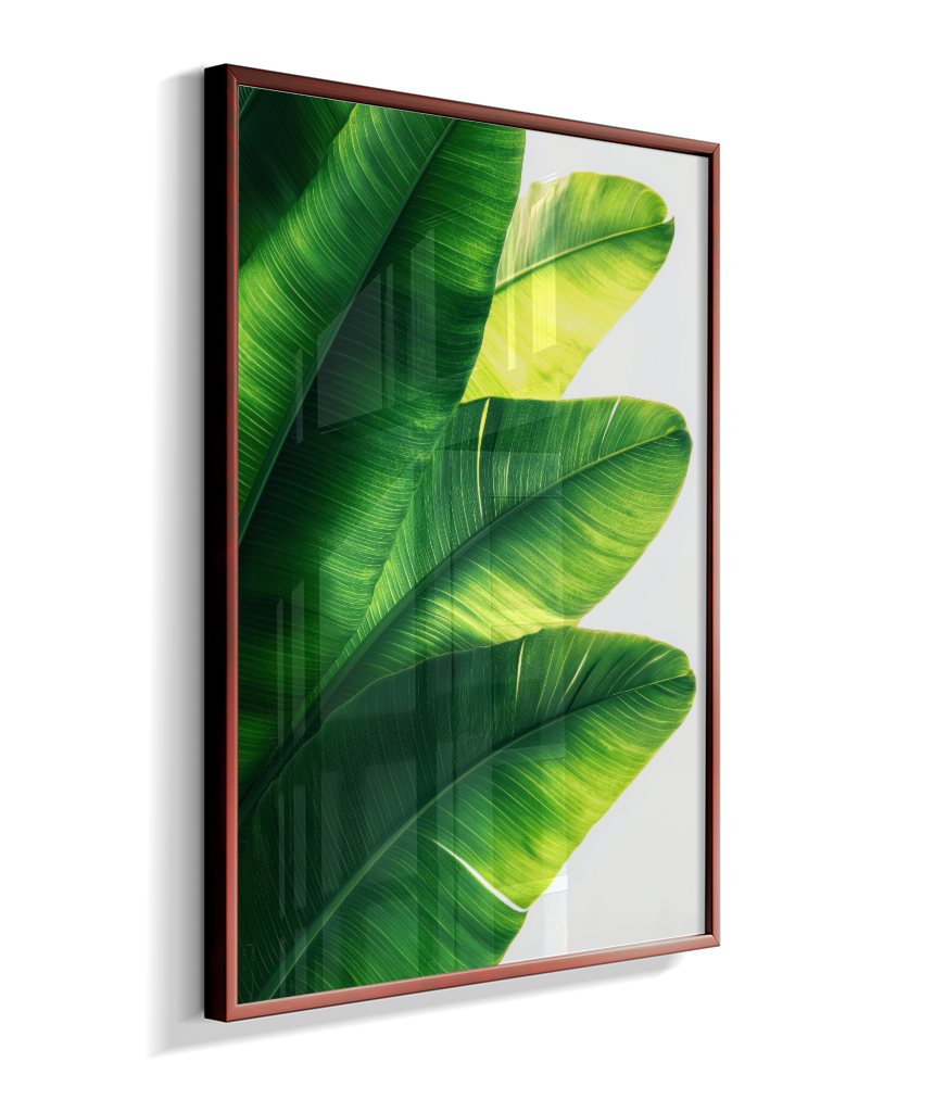 Bananeira 5