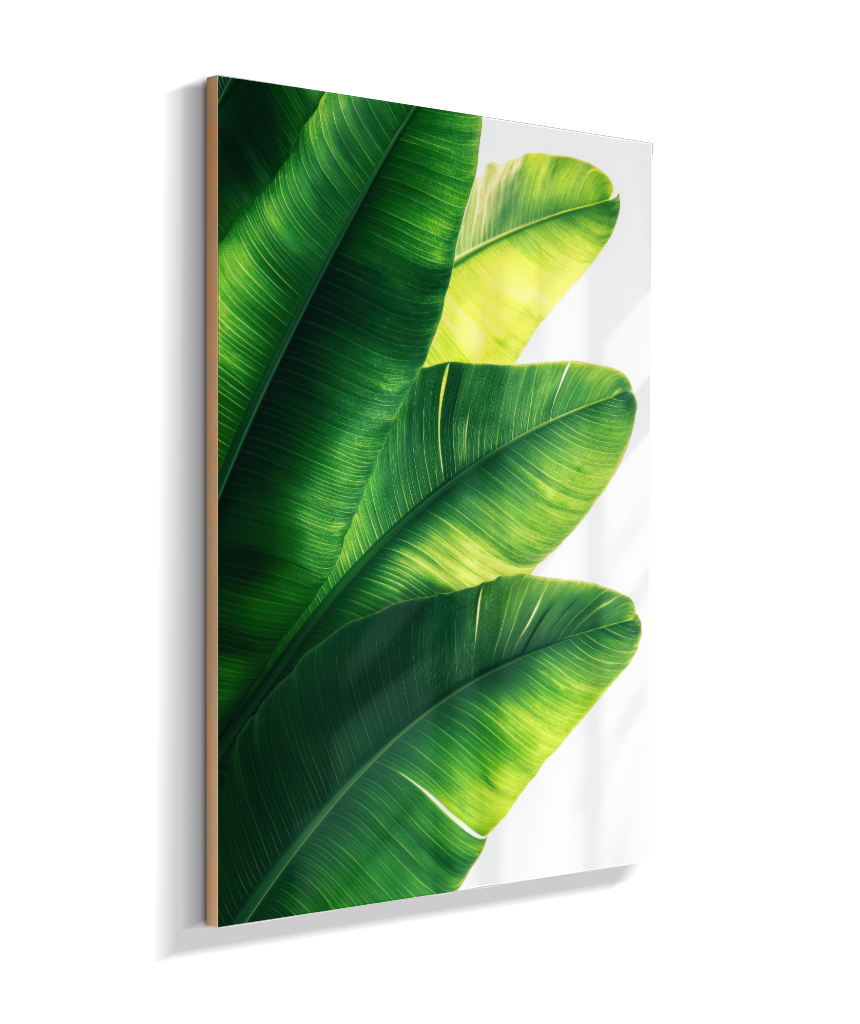 Bananeira 5