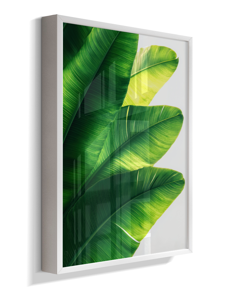 Bananeira 5