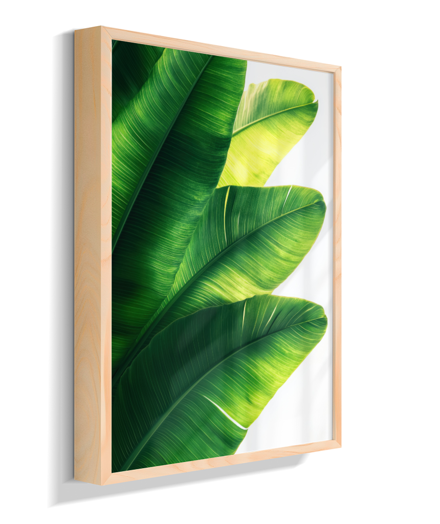 Bananeira 5