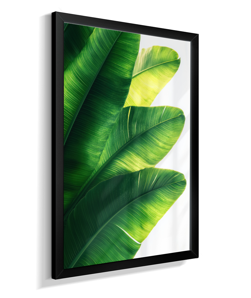 Bananeira 5