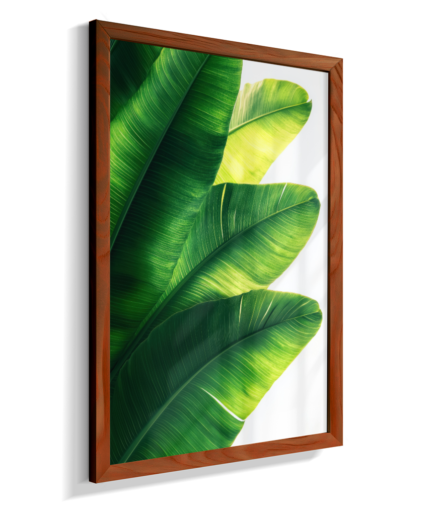 Bananeira 5