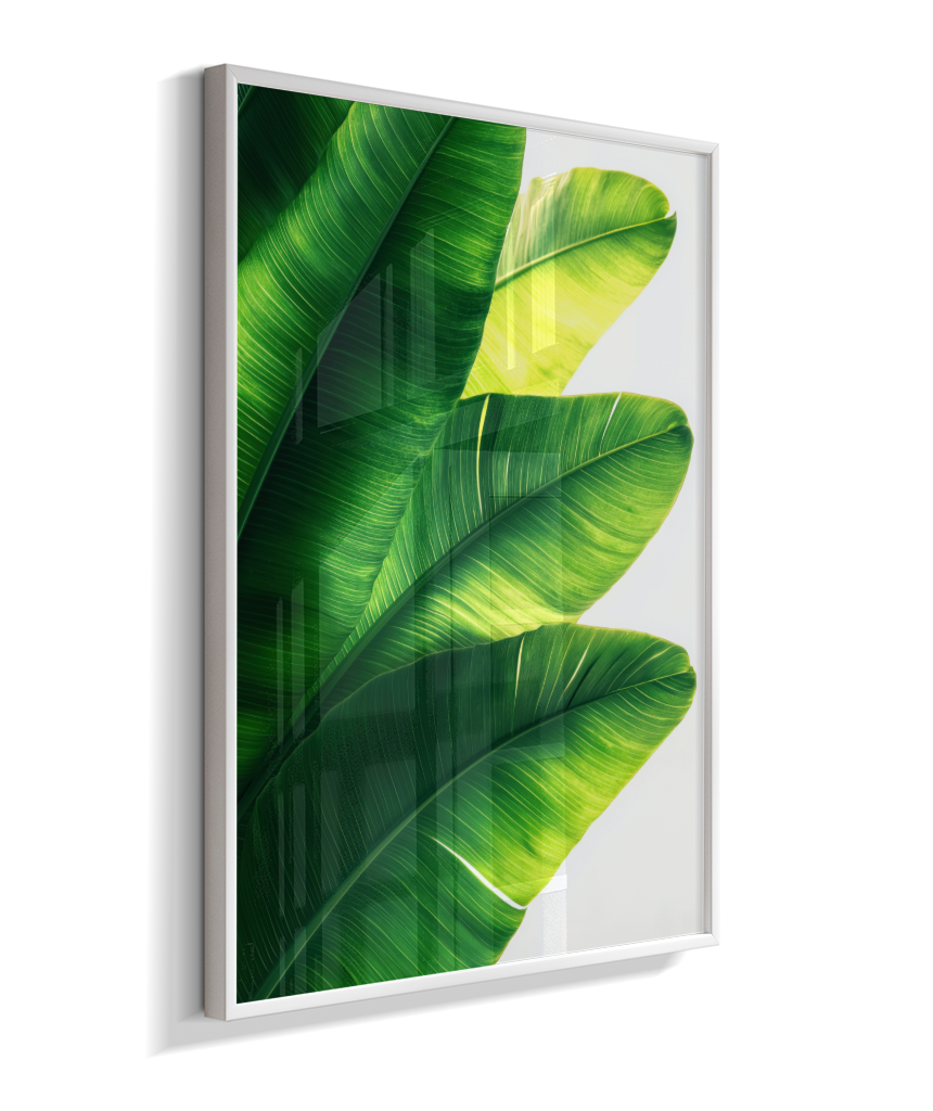 Bananeira 5