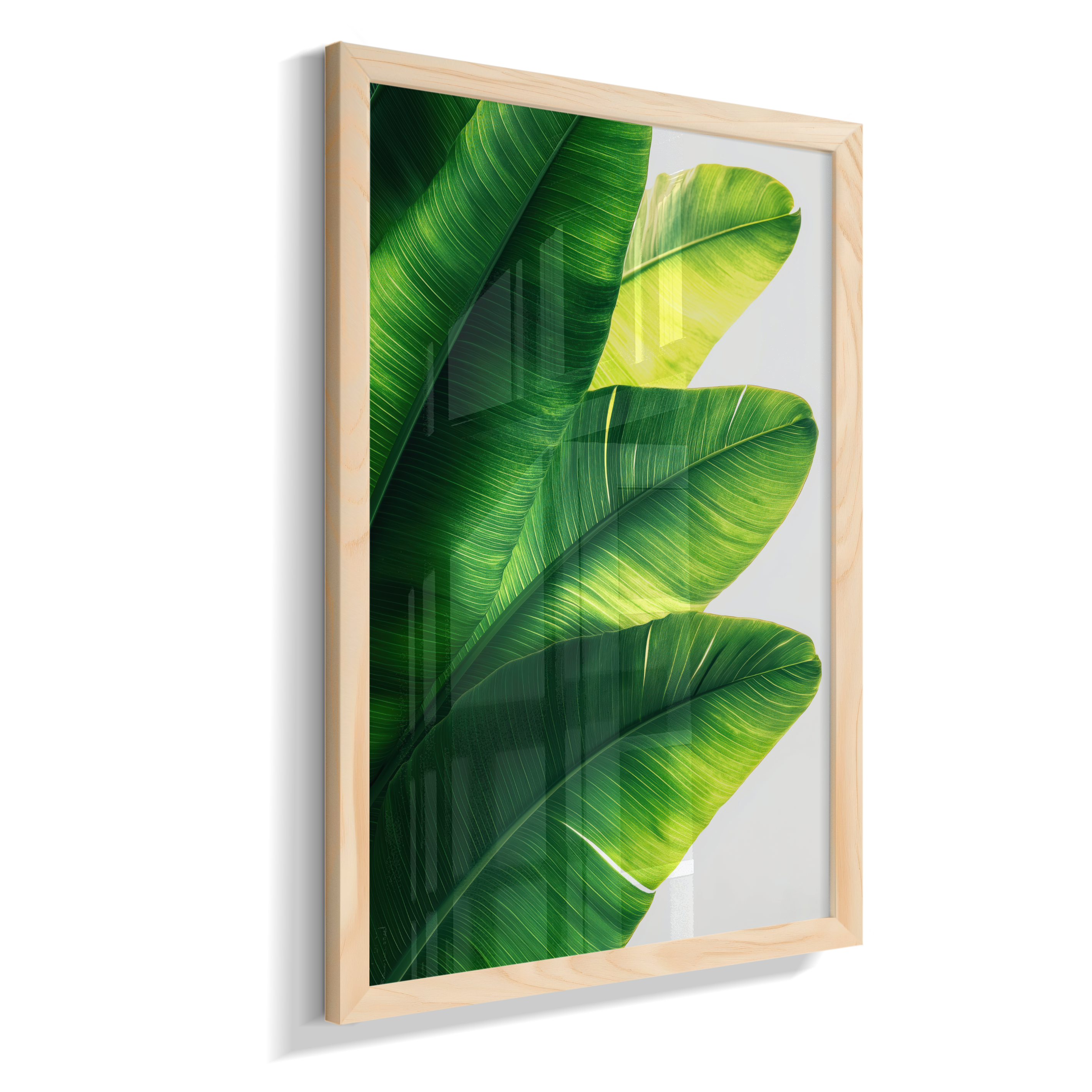 Bananeira 5