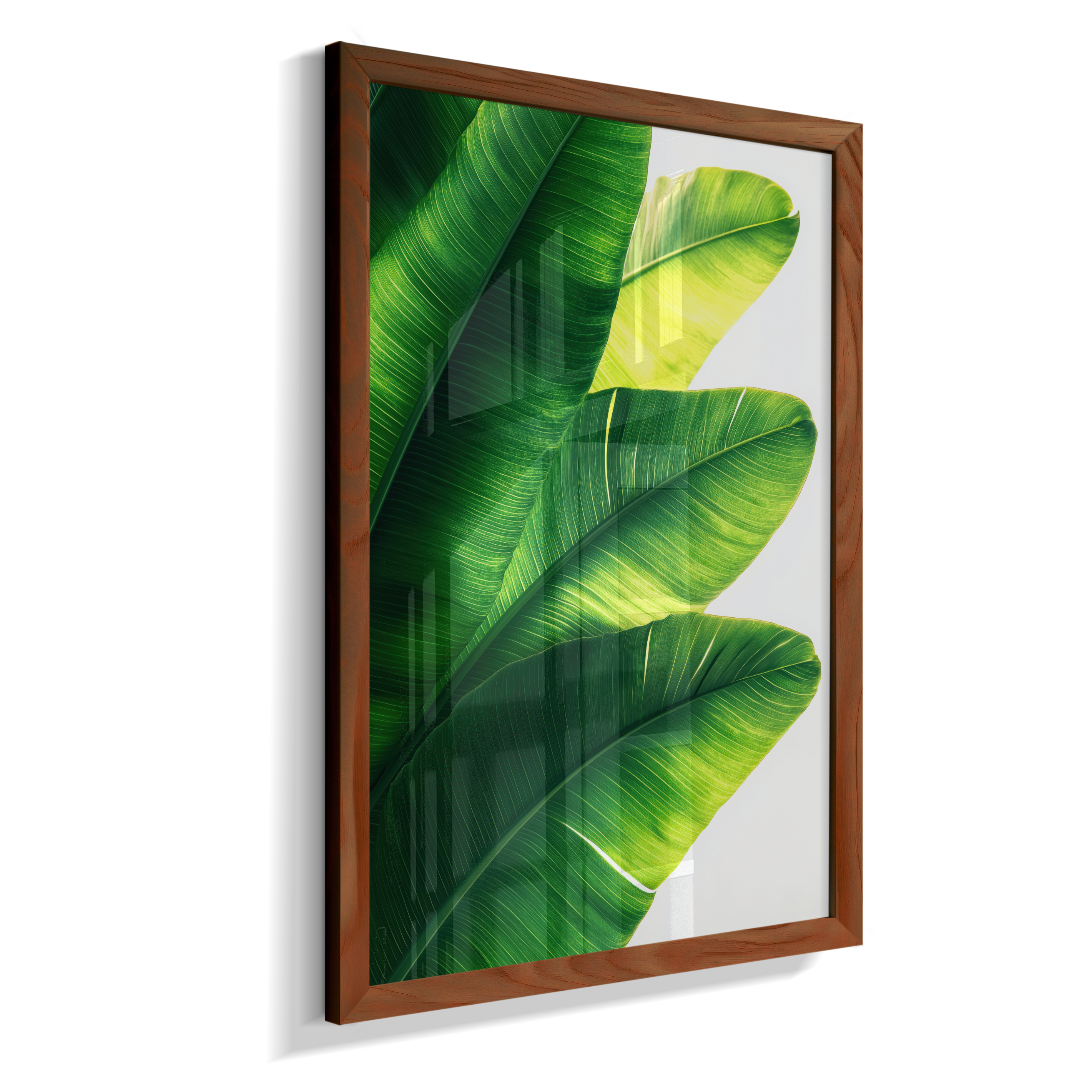 Bananeira 5