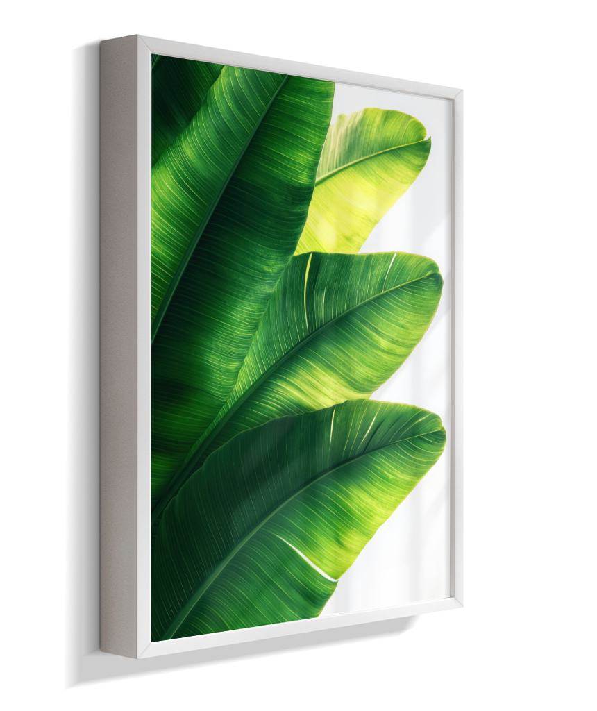 Bananeira 5