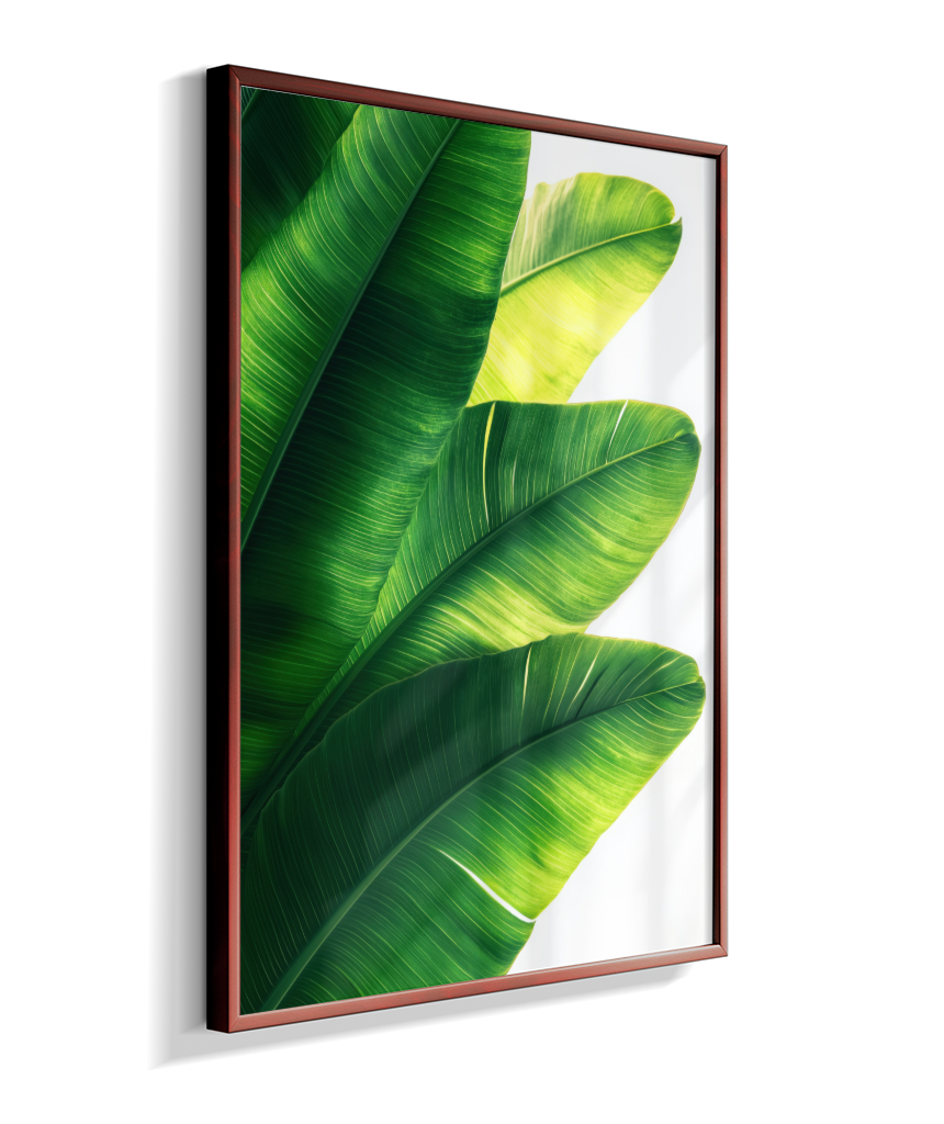 Bananeira 5
