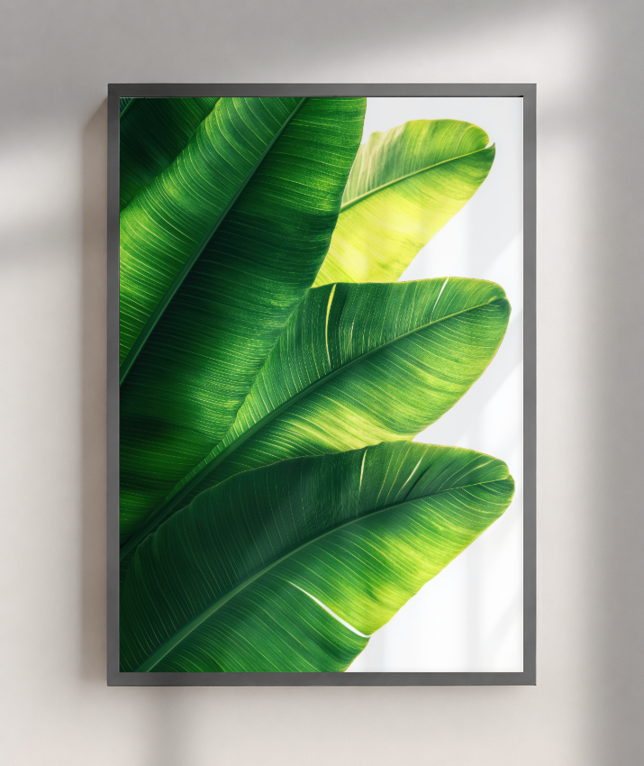 Bananeira 5