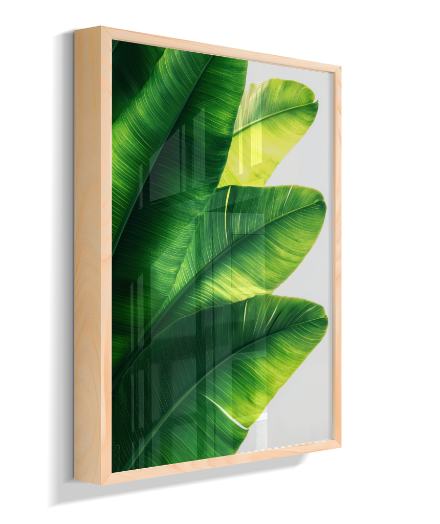Bananeira 5