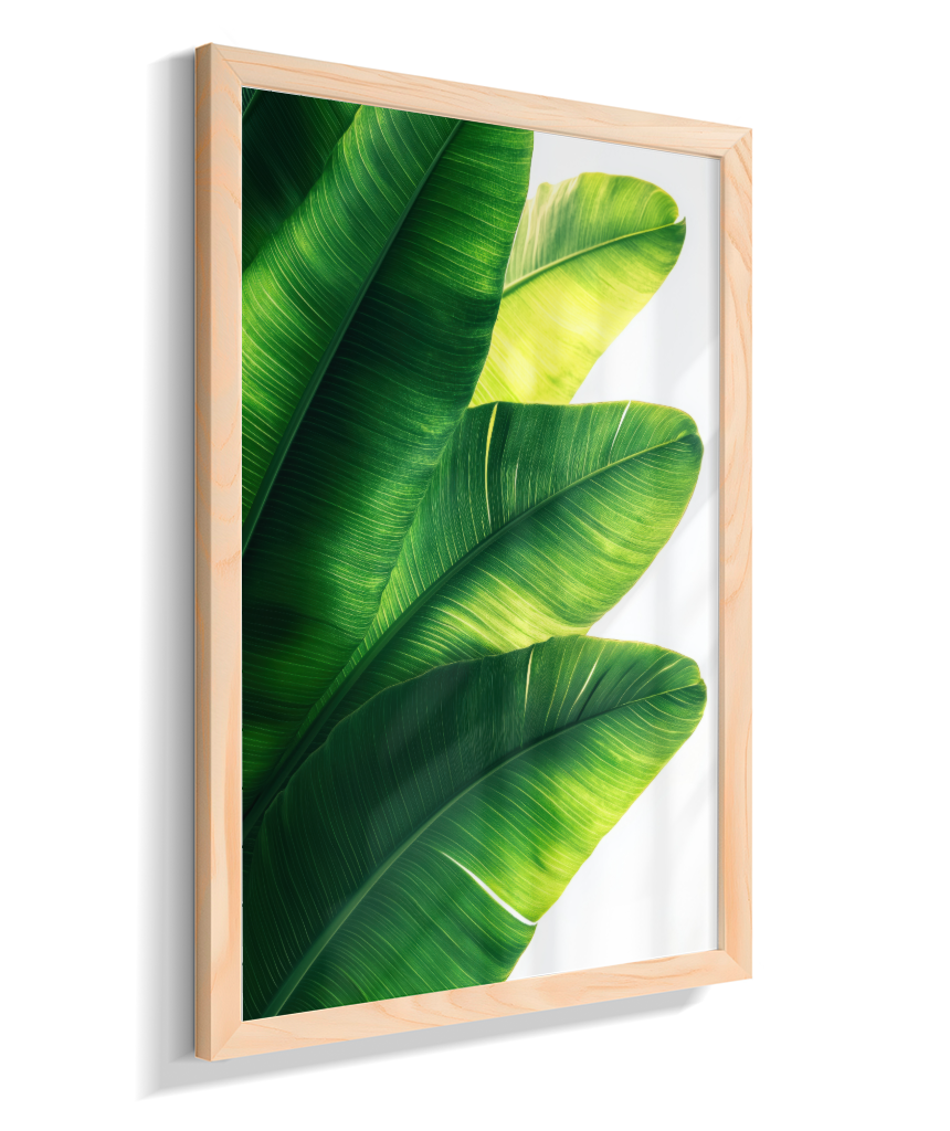 Bananeira 5