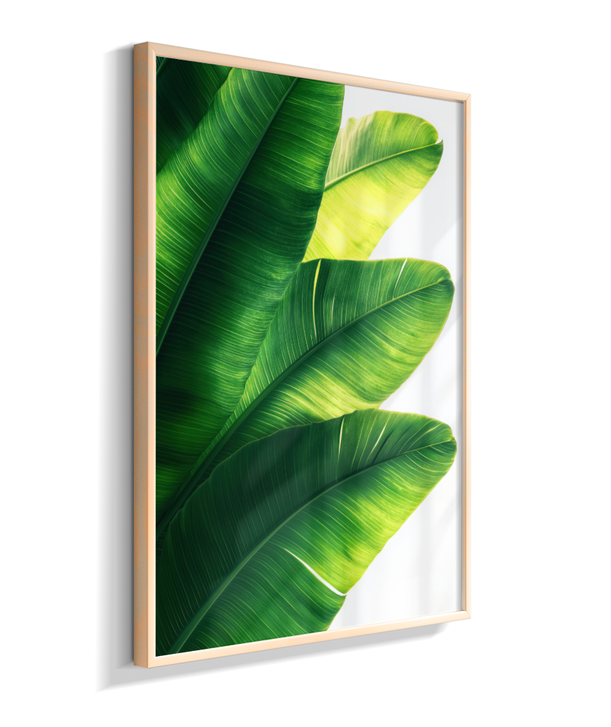 Bananeira 5