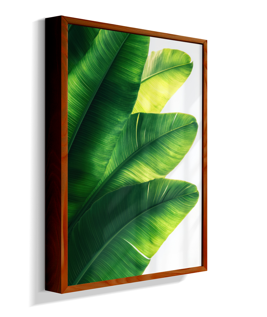 Bananeira 5